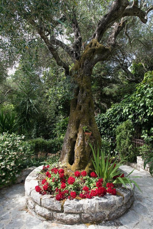 Villa Lofos كاسيوبي المظهر الخارجي الصورة