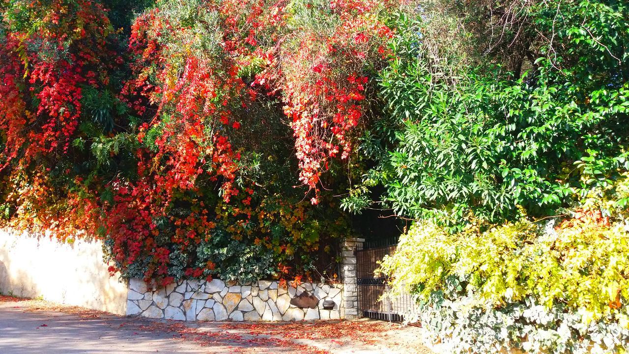 Villa Lofos كاسيوبي المظهر الخارجي الصورة